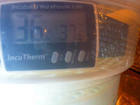 thermometer.jpg