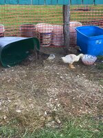IMG_0812.jpeg