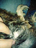 0423201427a_Film3.jpg