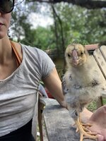 95521153-FACA-4DC9-A3FF-6D5D0272519C.jpeg