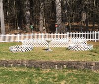 new garden bed.jpg
