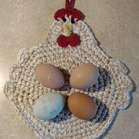 1st 4 eggs.jpg