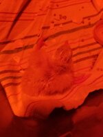 20200424_082918.jpg