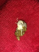 IMG_20200424_235005388.jpg