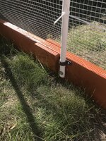 IMG_0509.jpeg IMG_0509.jpeg
