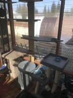 IMG_1264.jpeg IMG_1264.jpeg