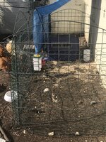 IMG_1262.jpeg IMG_1262.jpeg