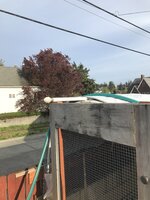 IMG_1276.jpeg IMG_1276.jpeg