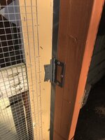 IMG_1297.jpeg IMG_1297.jpeg