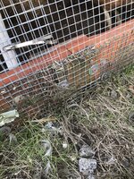 IMG_1271.jpeg IMG_1271.jpeg