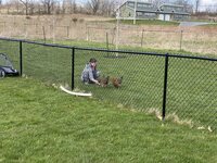 20200425_203715534_iOS.jpg