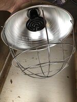 065869AE-1428-4FAD-B8D8-48408CFB7950.jpeg
