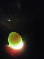 20200425_195259.jpg