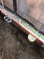 IMG_1287.jpeg