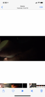 478D05A2-DEFC-4939-802C-463A5E259D92.png