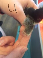 F346161A-2266-4C28-A045-107AA0CCC85E.jpeg