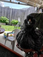 20200427_113720.jpg