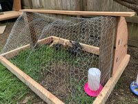 Small Run for Chicks