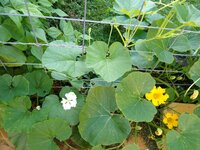 IMG_20200427_075915025.jpg