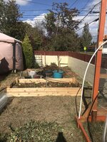 IMG_0500.jpeg