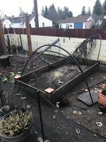 IMG_1062.jpeg