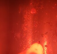 20200429_142251.jpg