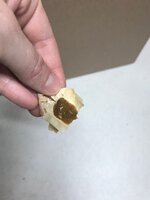 chick.jpg