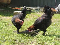 DSCN0588.JPG
