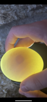 E0D9083E-018B-4C0D-8841-698AE32B1D0E.png