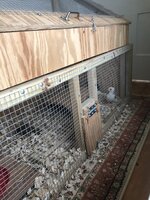 IMG_1322.JPG
