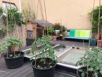 IMG_3073.JPG