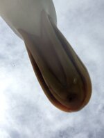 C6D9B176-CA3A-45D2-997D-5C940A341C42.jpeg