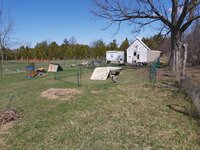 20200501_142654.jpg
