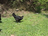 DSCN0628.JPG