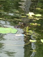 548568FD-CE71-4292-849A-41120E16C528.jpeg