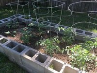garden e  4.20.jpg