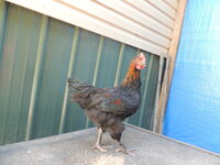 DSCN0660.JPG