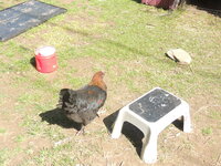 DSCN0670.JPG