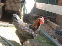 DSCN0673.JPG