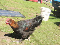 DSCN0675.JPG