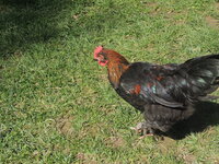 DSCN0676.JPG