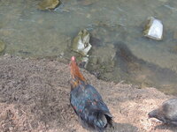 DSCN0677.JPG
