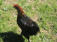 DSCN0682.JPG