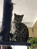 0D75C5FA-CD13-432A-A60D-947E58AD2209.jpeg