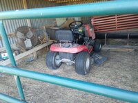20200503_183014.jpg