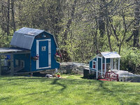 Chicken coop setup.jpg