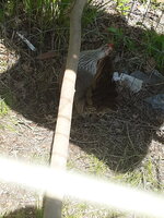 20200503_120113.jpg