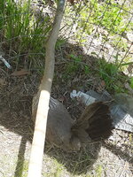 20200503_120120.jpg