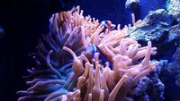 20200314_184549.jpg