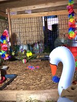 71A7E5B9-B554-4078-91CE-674C6B4CBE61.jpeg